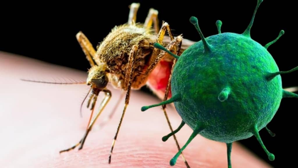 virus2.jpg